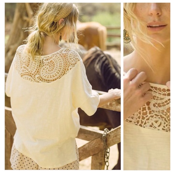 NEW Gorgeous Lace Yoke Embroidered Crochet Top - Picture 1 of 11